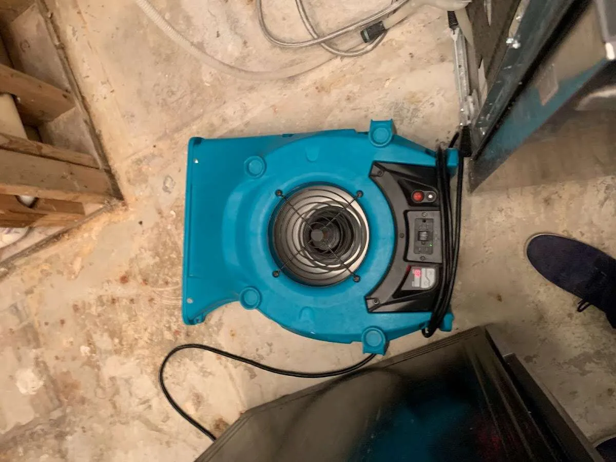 Air mover drying equipment for Mold Remediation & Removal in Oakmont