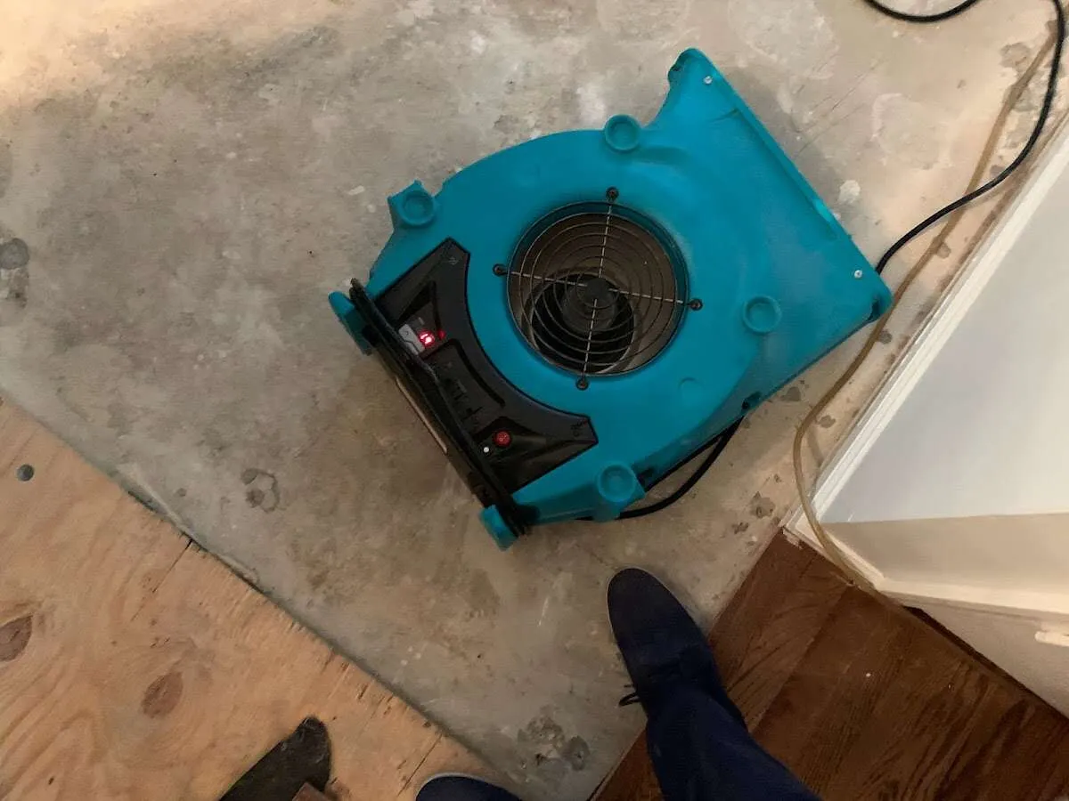 Air mover drying subfloor during Commercial Water Damage Restoration in Oakmont